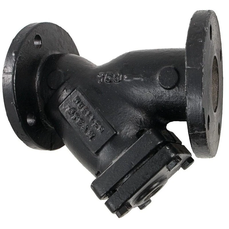 Mueller Steam Specialty Model 758 2-1/2 in. Cast Iron 125# Flanged .062 Perforated Wye Strainer | Ferguson